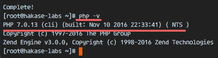 查看 PHP 版本号